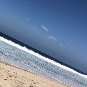 Meet your Posher, Oscar